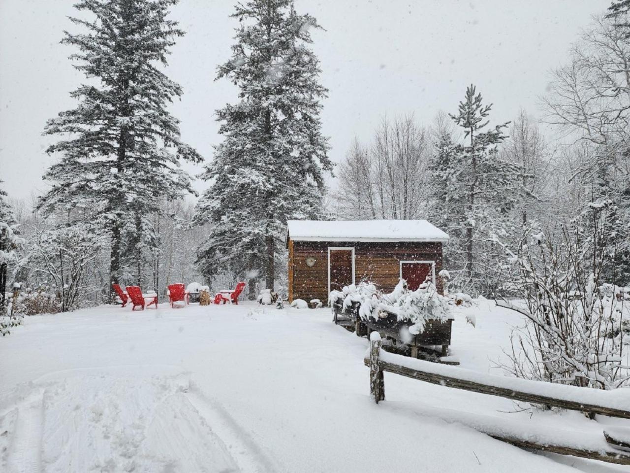 Chalet Nabu L'Ours - Riviere - Billard Сент-Алексі-де-Мон Екстер'єр фото